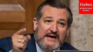 'You're Not Answering My Question': Ted Cruz Clashes With Biden Judiciary Nominee Over Voter ID Laws