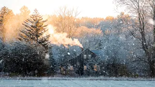 The Magic of Winter in New England ❄️🎄