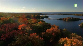 Couleurs d'Automne à Chicago - Échappées belles