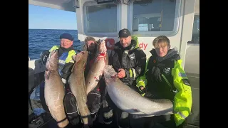 MS Ørnklakken fishing for big lings on Frøya