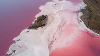 Невероятное розовое украинское озеро