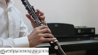 Saint-Saëns: Clarinet Sonata Op. 167 - I. Allegretto