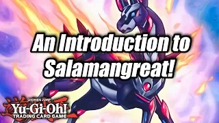 Yu-Gi-Oh! An Introduction to Salamangreat!