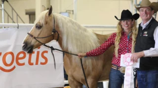 2016 AQHA Amateur VRH World Champion