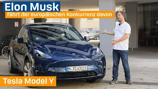 Tesla Model Y: Musks Mittelklasse-SUV fährt der europäischen Konkurrenz auf und davon | EFAHRER