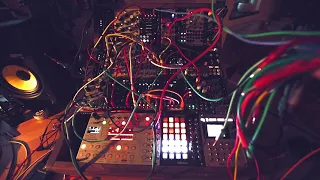 Mutable Instruments Stages Easter Egg , Eurorack