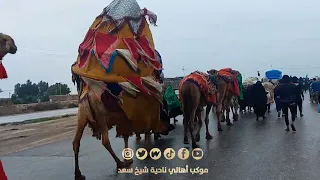 زوار الامام الكاظم ع يصلون الى مشارف ناحية شيخ سعد محافظة واسط