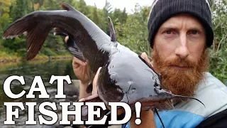 Fishing Using Beaver Meat for Bait