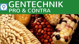Gentechnik - Pro & Contra / Vorteile & Nachteile einfach erklärt - Diskutiere / Erörtere Abi-Aufgabe
