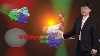 Taekjip Ha (Johns Hopkins / HHMI) 3: Investigating DNA Helicases using single molecule technologies