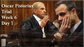 Oscar Pistorius Trial: Monday 14 April 2014, Session 2