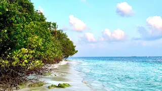 Dreamland Resort Malediven Januar 2024 - Impressionen