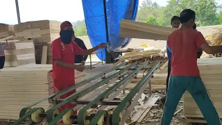 proses pembuatan veneer "Raung Rimba Raya"