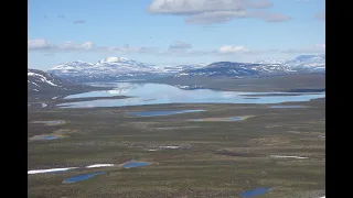 Fly Fishing Swedish Lapland with Arctic Heli.