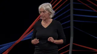 How to survive the 5th industrial revolution? | Katalin Sipos | TEDxBudapestMetropolitanUniversity