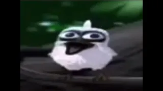 Bird screams (earrape warning)