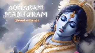 Adharam Madhuram (Slow + Reverb) |  Krishna Bhajan | Bhakti Song | Bhajan Song | Madhurashtakam Lofi