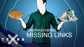 3 überraschende Missing Links der Geschichte | Terra X