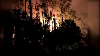 Brush fires continue to burn in Collier County