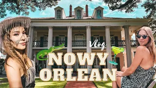 VLOG: NOWY ORLEAN! 🎷🧡 Luizjana • French Quarter • Aligatory • Koncert Beyonce • Garden District 🐊🍹