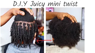 D.I.Y Juicy Mini Twist on Short/Medium 4c Natural Hair