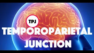 Temporoparietal Junction and Theory of Mind