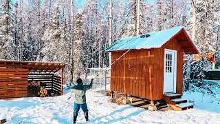 First Snowfall at our Off Grid Cabin in ALASKA! | HomeSchool + HomeStead Chores...