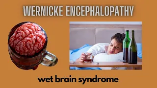 Wernicke Encephalopathy - Wet Brain Syndrome