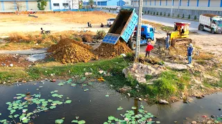 First Starting open new Project Dump truck unloading stone Bulldozer pushing stone build New road.