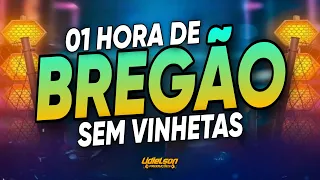 01 HORA DE BREGÃOOOOO - AS MELHORES MÚSICAS SELECIONADAS PRA VOCÊ CURTIR NO DOMINGÃO - SEM VINHETAS