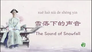 The voice you won't believe it! (CN/ENG/Pinyin) "The Sound of Snowfall" by Zhou Shen - 周深翻唱《雪落下的声音》