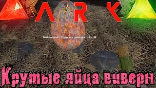 ARK: Scorched Earth - Ищем крутые яйца Виверн