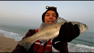 A morning of Sea Bass fishing 🐟 with a new reel and line. EN subs 4K