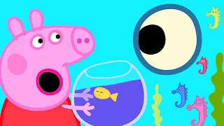 Peppa Pig en Español 🐟 EL ACUARIO | Pepa la cerdita