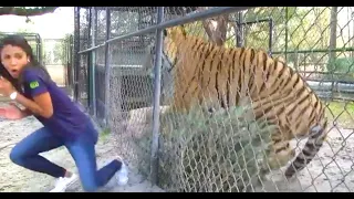 Unbelievable Animal Encounters in Less Than 13 Minutes