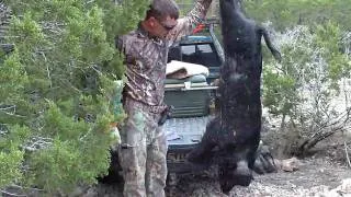 Texas Hog Hunting Slow Motion Headshots DnaHogHunter