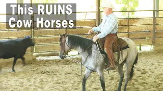 Horse Training - This Ruins Cow Horses & How To Prevent It