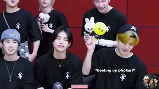 Stray kids acting crazy for no reason