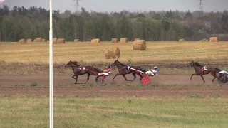 10-й заезд. 3й гит "Большой Воронежский приз Дерби". 08.08.2021. ЖиК рыс рожд. в 2017г. 1600х3