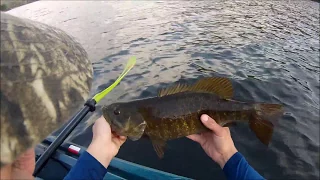 Catching BIG BASS (Smallmouth & Largemouth) on Quaker Lake!