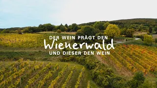 Biosphärenpark Wienerwald - DER WEIN