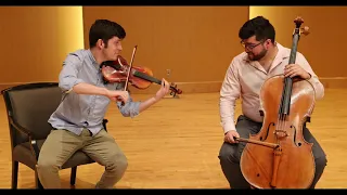 Violonchelo vs violín