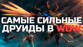 10 Самых Cильных Друидов в World of Warcraft