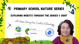 Exploring Insects Through the Senses Webinar 1:   Sight