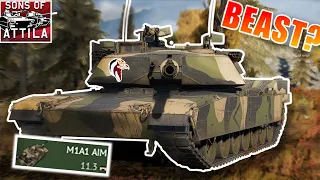 Is it that good ?? ||The M1a1 AIM  experience part 2