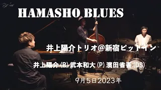 Hamasho Blues:【井上陽介トリオ】＠新宿ピットイン　井上陽介（b）武本和大（p）濱田省吾（ds）2023年9月5日