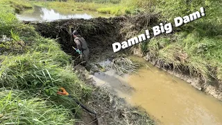 Most Exhausting Beaver DAM REMOVAL EVER!