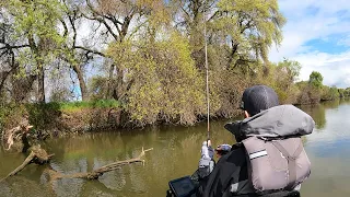 PRE SPAWN Bass Fishing In Spring California Delta | CRAZY WEATHER