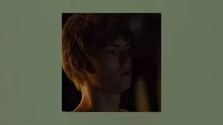 y/n and newt fall in love with each other || the maze runner soft playlist