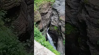 Watkins glen trail